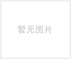 丹佛斯蝶阀系列DFS941X-16法兰电动蝶阀